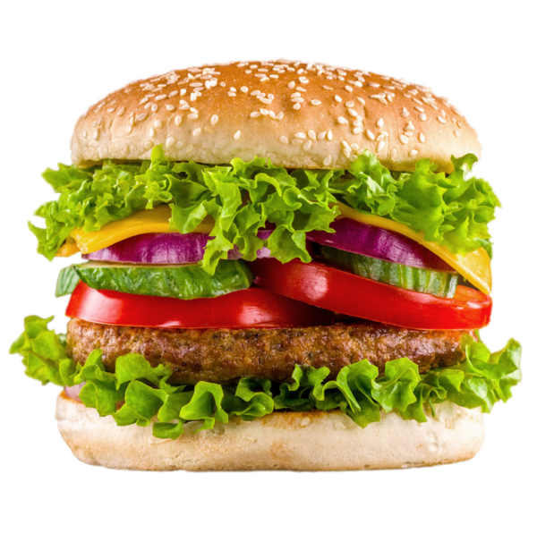 حزمة البداية الأساسية